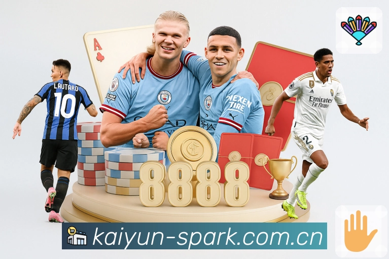 开云平台展示图